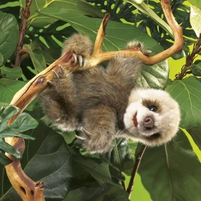 Baby Sloth Hand Puppet on a Tree Branch
