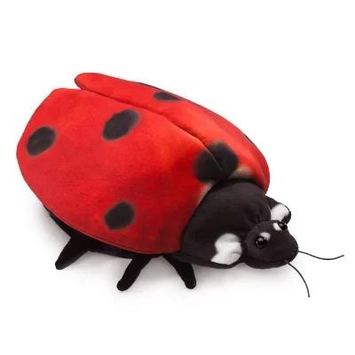 Hand Puppet: The Ladybug's Metamorphosis