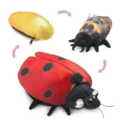 Hand Puppet: The Ladybug's Metamorphosis