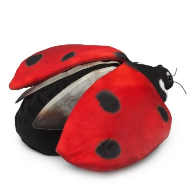 Hand Puppet: The Ladybug's Metamorphosis