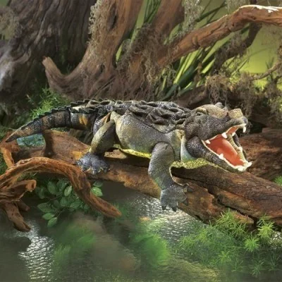 Handpop Amerikaanse alligator van Folkmanis in een natuurlijke omgeving