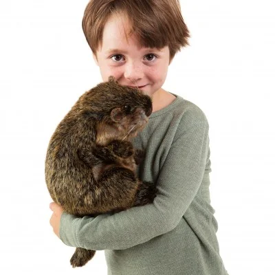 Ragazzino con una marionetta a mano a forma di marmotta tra le braccia. Ragazzino con una marionetta a mano a forma di marmotta tra le braccia.