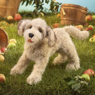 Marioneta de mano de un labradoodle en la naturaleza