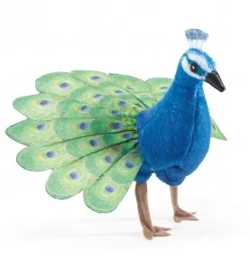 Mini marionetta a forma di pavone firmata Folkmanis