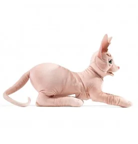 Marionnette chat sphynx signée Folkmanis, vue de profil Marionnette chat sphynx signée Folkmanis, vue de profil